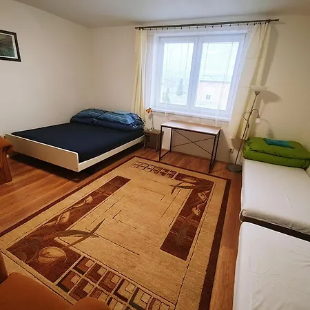 Piano Проживание в семье